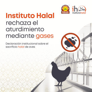 Aves en línea de procesado en matadero avícola industrial