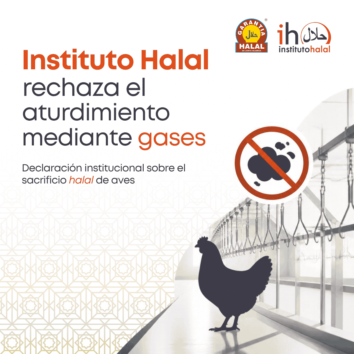 Aves en línea de procesado en matadero avícola industrial